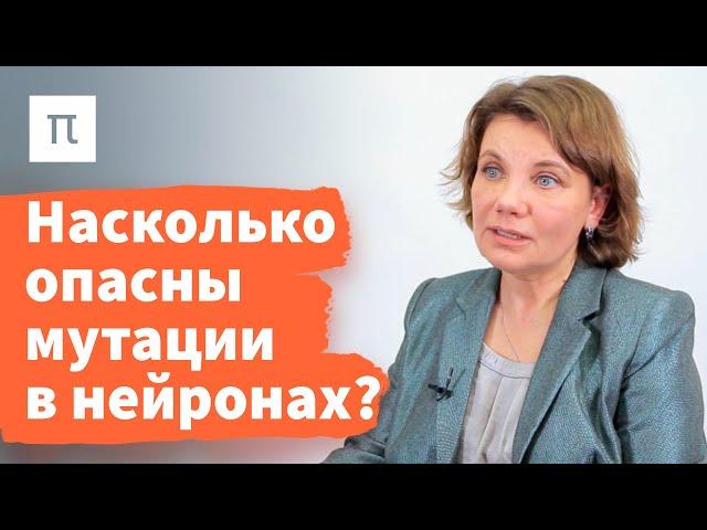 Эпигенетика обучения и мутагенез нейронов — Варвара Дьяконова / ПостНаука