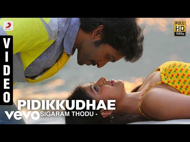 Sigaram Thodu - Pidikkudhae Video | Vikram Prabhu | D. Imman