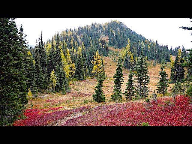 Windy Pass, Pasayten Wilderness (Hiking Trails in Washington)