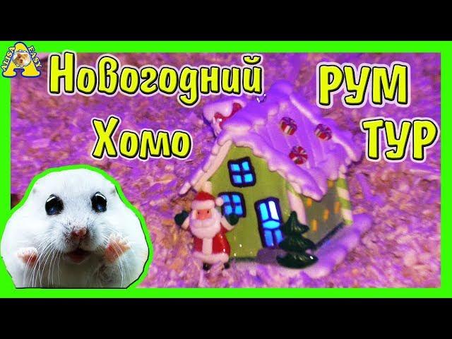 New Year's room tour on Hamster's Cage / DECORATIONS for New Year / Decorated House of Homky