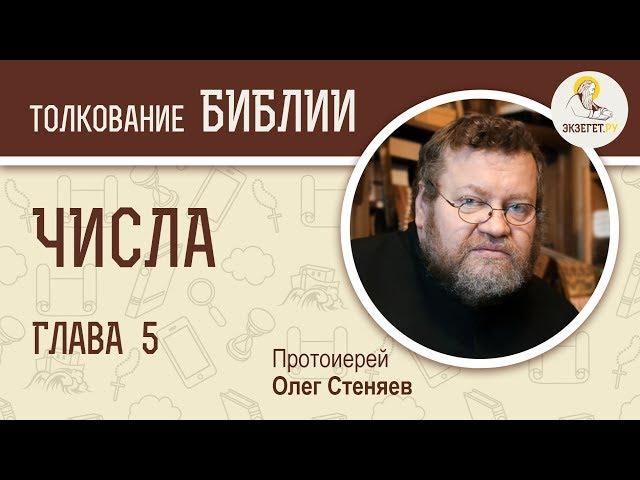 Числа, Глава 5. Протоиерей Олег Стеняев. Толкование Ветхого Завета. Книга Чисел. Толкование Библии