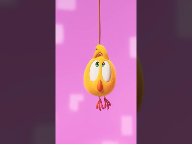 Daring rescue #Shorts #chicky | Chicky Cartoon in English for Kids