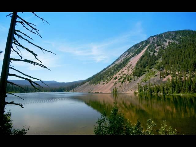 Village Kollektiv - One From A Thousand / Z tysiunca (HD)