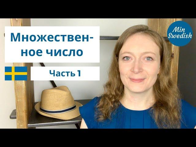 Множественное число существительного. Шведский язык. Часть 1 | MinSwedish