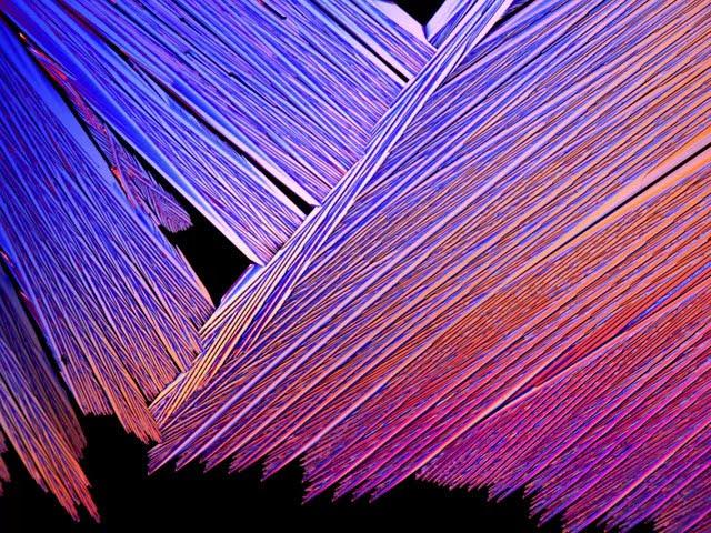 Polarized microscopy