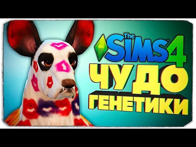 ЧУДО ГЕНЕТИКИ, СЛИШКОМ УГАРНЫЕ СОБАКЕНЫ! - The Sims 4 "Кошки и Собаки"