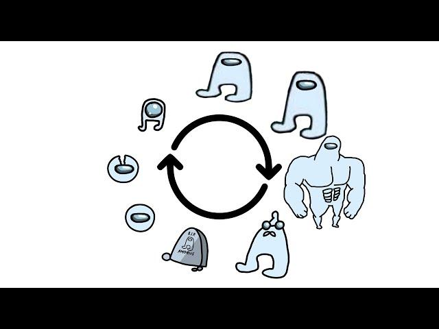 amogus life cycle | amogus meme