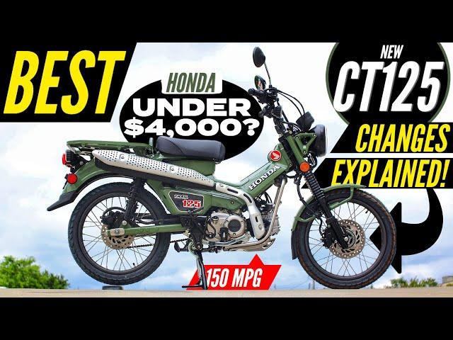 NEW Honda Trail 125 Review | CT125 = Better than Grom, Monkey & Super Cub Motorcycles?