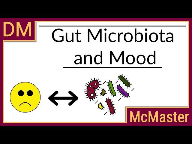 Gut Microbiota and Mood: Can you eat your way to happiness?