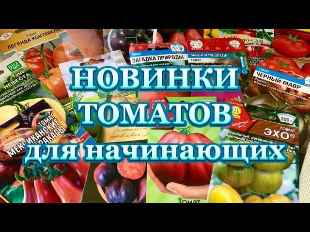 НОВИНКИ ТОМАТОВ 2024 ДЛЯ НАЧИНАЮЩИХ#томаты #обзорсемянтоматов