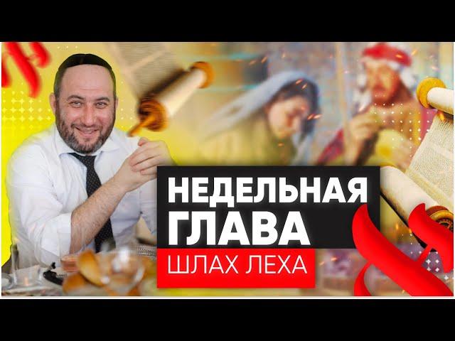  Как овладеть собой? Недельная глава Шлах леха | Размышления на тему Недельных Глав Торы