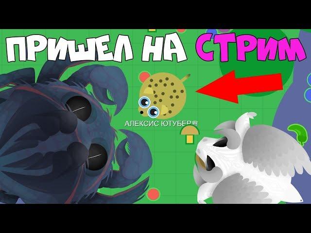 ПРИШЕЛ НА СТРИМ ПО МОПИО К ДРУГОМУ ЮТУБЕРУ MOPE.IO