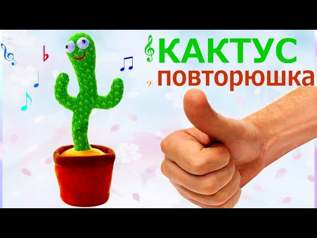 Cactus REPEAT, sings and dances HIT TikTok!