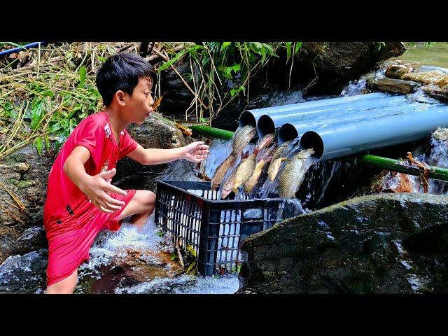 FULL VIDEO 15 days: The story of a wandering boy named Bac and his journey to conquer big fish.