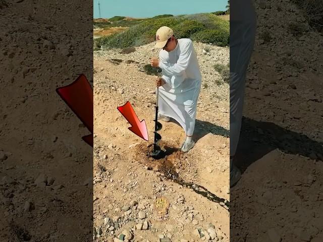 Dầu mỏ phun trào giữa sa mạc