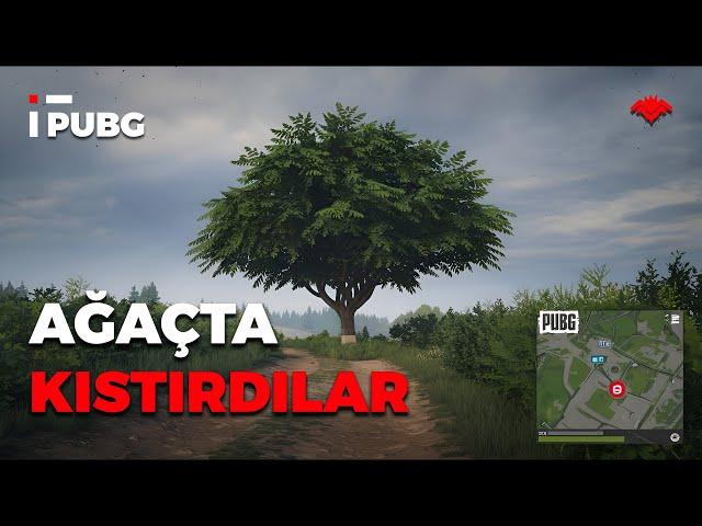 AĞAÇTA KISTIRDILAR! - #PUBG #SOLO