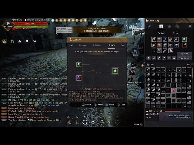 Black Desert Alchemy Stone Life Upgrade