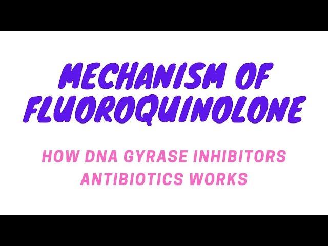 Mechanism of fluoroquinolone or DNA gyrase inhibitors antibiotics & causes of resistance