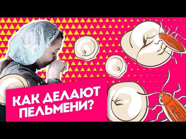 Как делают пельмени? Ужасы производства в программе Инсайдеры