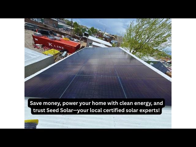 Seed Solar Panels