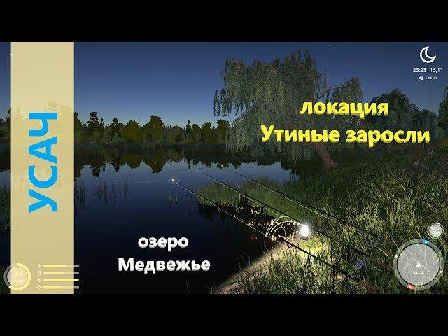 Русская рыбалка 4 - озеро Медвежье - Усач на сырный кубик