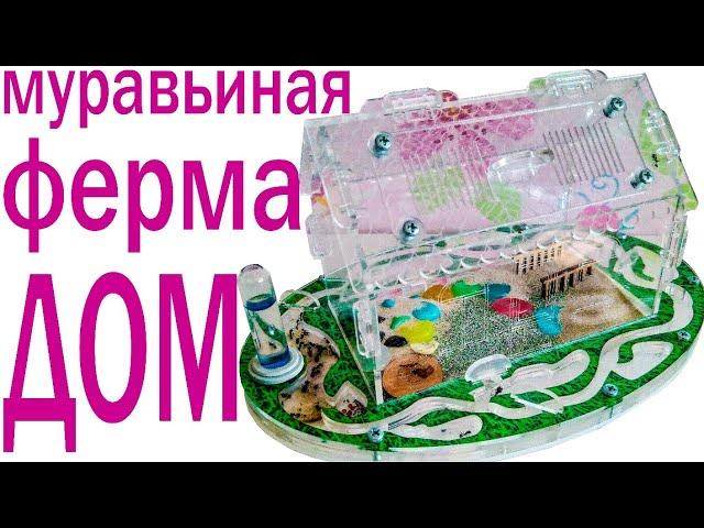 Муравьиная ферма с муравьями  | Обзор формикария в форме домика