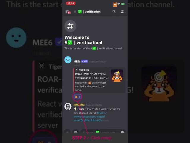 Discord - How to Verify Your Role