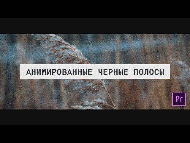 Черные КИНОШНЫЕ ПОЛОСЫ. Самое то для B-Roll