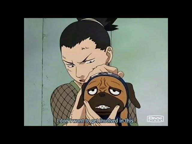 Shikamaru And Pakkun