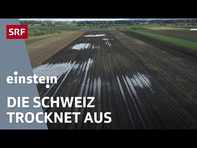 Schweizer Böden brauchen Hilfe! Sie sind zu trocken und zu dicht | Einstein | SRF Wissen