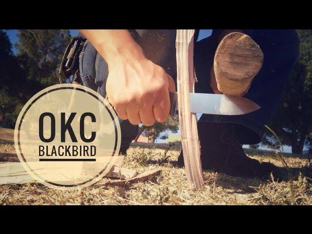 OKC SK5 Blackbird: Outdoor Arena Review