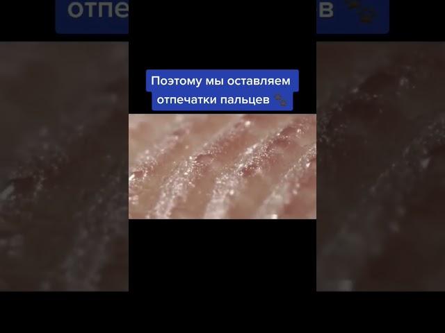 Знали об этом ? #факты #интересно #наука #биология #фактыкаждыйдень #полезные