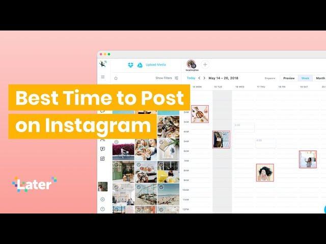 Find Your Best Time to Post on Instagram ⏰