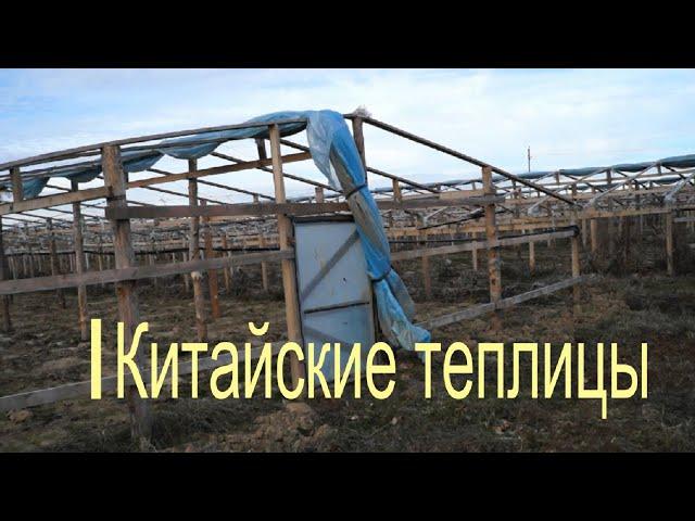 Дешевая китайская теплица. Теплица своими руками.