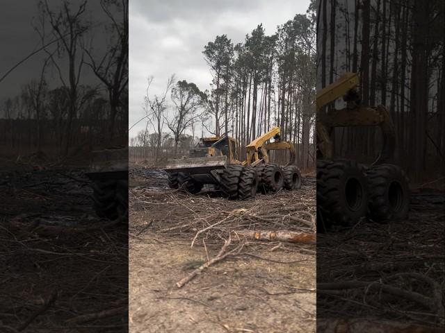 TIGERCAT work in  #power #tractor #forestfarming #farming #woodworking #tigercat #logging