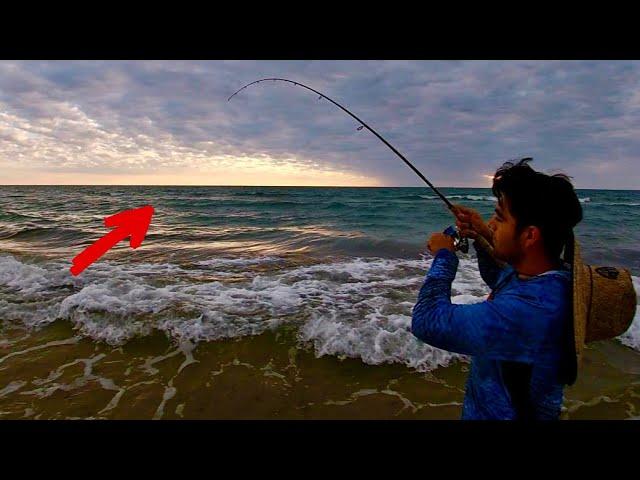 SURF Fishing PINS & I caught a RARE Texas Species **Multi-Species** (Padre Island National Seashore)