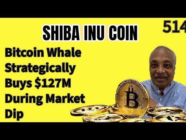 ️Shiba  Inu: Is SHIB a safe bet in December? Bitcoin News || XRP || WazirX News || IN TELUGU