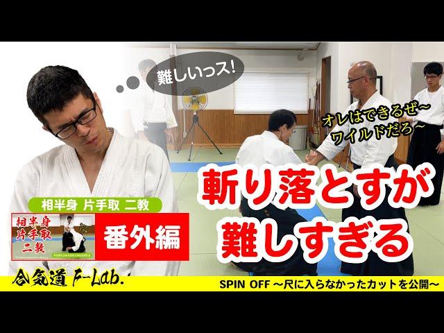 【相半身 片手取 二教 番外編】斬り落としが難しすぎる#合気道 #aikido