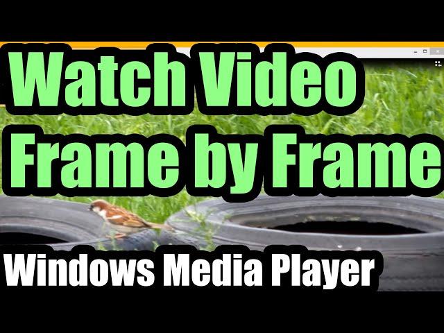 Watch video Frame by Frame (Windows Media Player)