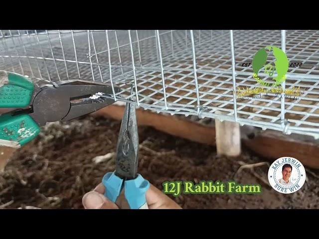 DIY J-CLIP alternative for M-CLIP: How to USE in Rabbit Cage! #rabbit #rabbitfarming #bunny