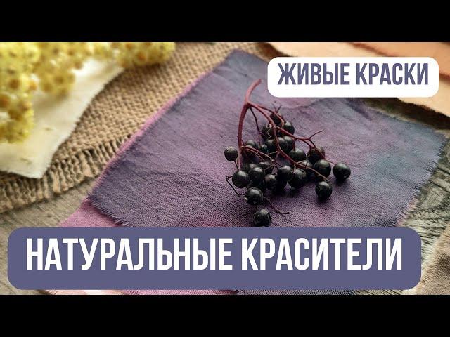 Натуральные красители для тканей. Обзор растительных пигментов