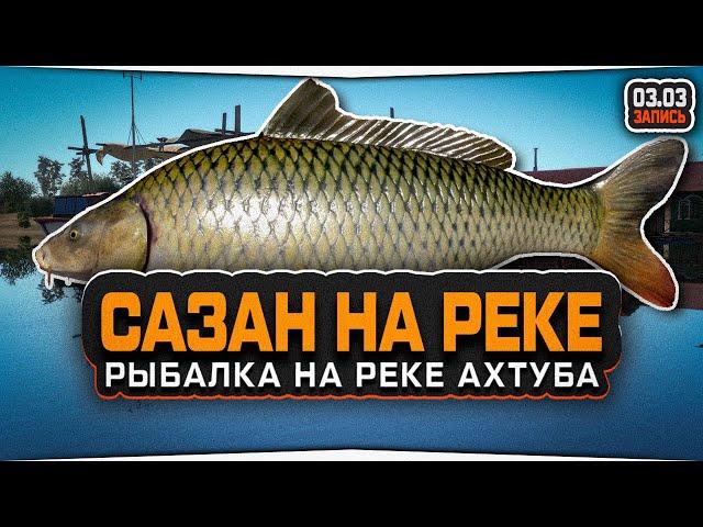 Сазан на реке Ахтуба • Русская Рыбалка 4