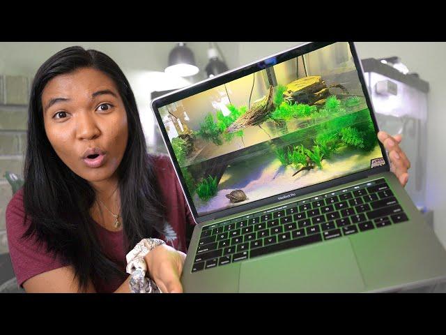 MUSK TURTLE TANK INSPIRATION (reacting to YOUR tanks!)