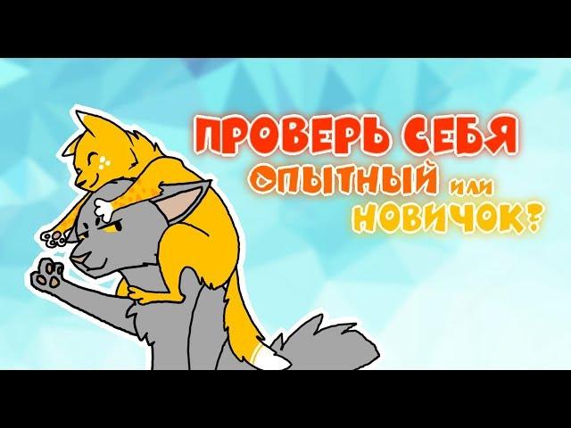 Catwar | Игра глазами новичка и опытного #1