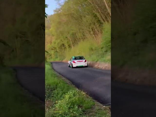 Rally Due Valli PURE SOUND #skodafabiar5 #rally #rallycar #renault