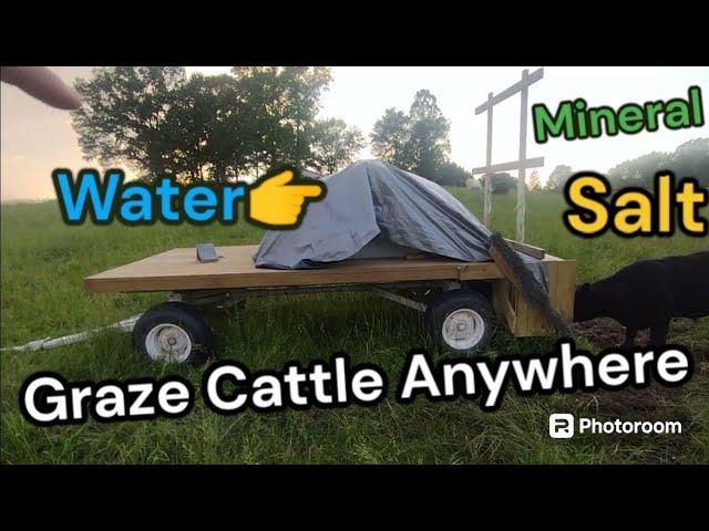 Can you graze Cattle without a water source?  Mobile waterer, mineral & salt feeder.