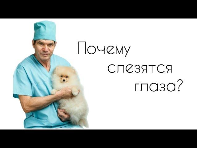 Почему слезятся глаза?//СЛЕЗНЫЕ ДОРОЖКИ