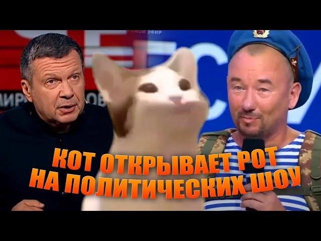 Кот открывает рот (pop cat) на политических шоу