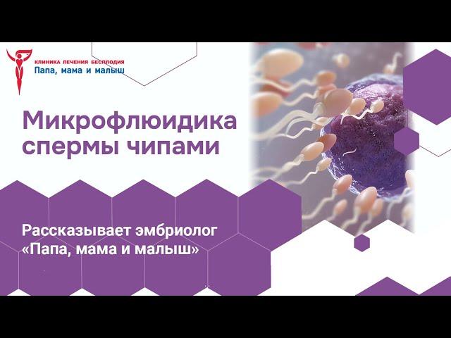 Микрофлюидика спермы чипами в клинике «Папа, мама и малыш» Нижний Новгород https://t.me/pmm_clinic