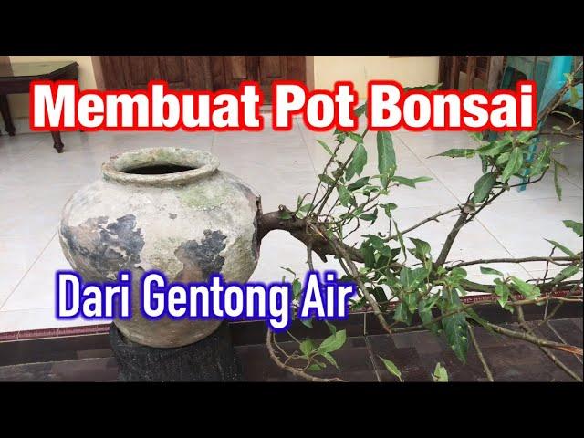 Membuat Pot Bonsai Dari Gentong Air